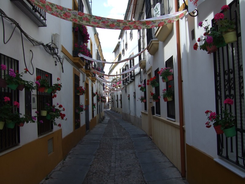 Anadalusien 2009 - 0323 